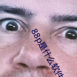 88p是什么(me)软(ruǎn)件
