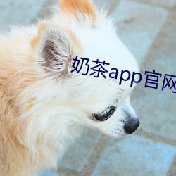 奶茶(茶)app官网下(下)载地(地)址苹果版(版)