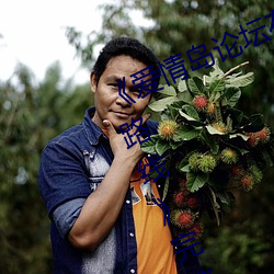 《爱情岛论坛在线一观看一亚洲品质路线》完整版正在播放