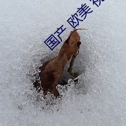 金年会(中国)官方网站