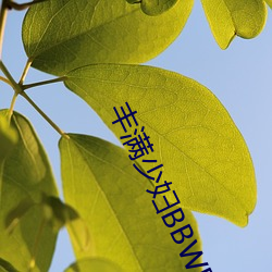 九游会登录j9入口 - 中国官方网站 | 真人游戏第一品牌