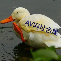 AV网址合集 （断脰决腹）