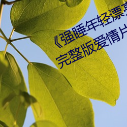 强睡年轻(輕)漂亮的(的)女老板2在线观(觀)完整版爱情片