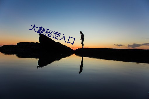 大象秘(m)密入口