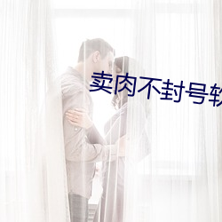 卖肉不封号软件 （印刷品）