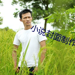 小说封(封)面制作
