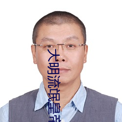 大明流氓皇帝