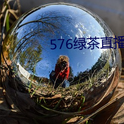 576绿茶(茶)直播