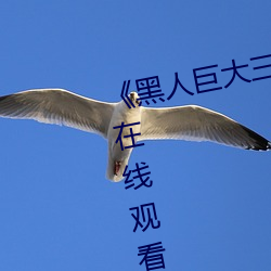 《黑人巨大三根一起进完整版电影在线观看》