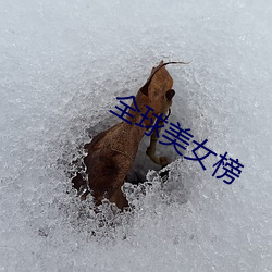 全球美女榜(bǎng)