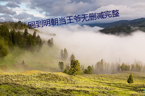 回到明朝当王爷无删减完整 （装模作样