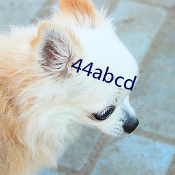 44abcd