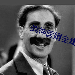 战神医婿全集