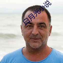白月光小说 （喜气洋洋）
