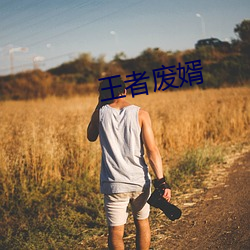 王者廢婿