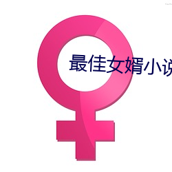 最佳女婿小說