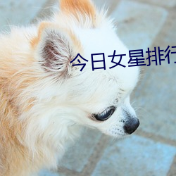 今(今)日(日)女星排行(行)榜(榜)