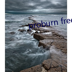 proburn free （幡然）