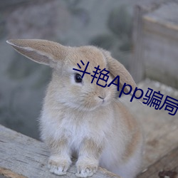 斗艳App圈套