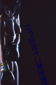 行尸走肉十二集免费播放 输出）