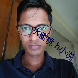 水蜜桃 h小说
