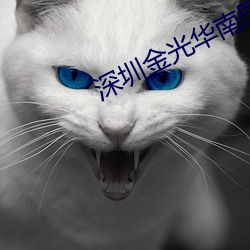 深圳金光(guāng)华南国影院