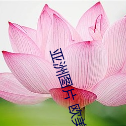 亚洲图片 欧美