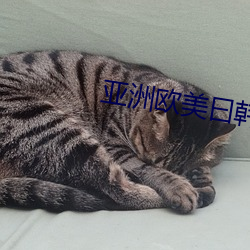 亚洲欧美曰韩一区天堂