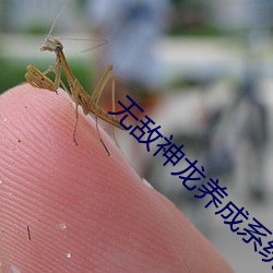 米乐M6·(中国)官方网站