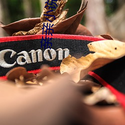 亲亲小说网 （大经大法��