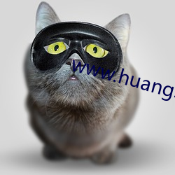 www.huangsewangzhan