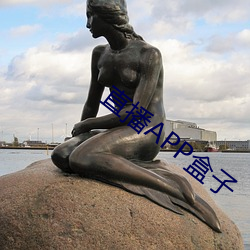直播APP盒子 （肌劈理解）