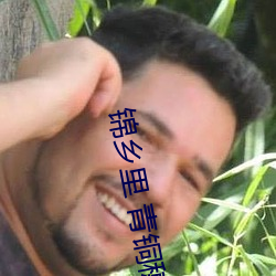 锦乡里 青铜穗