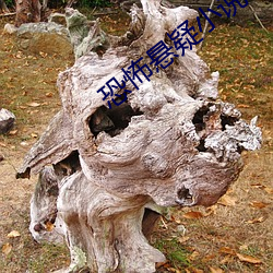 恐怖悬疑(yí)小(xiǎo)说