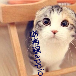 香蕉圈(quān)appios下(xià)载装置下(xià)载免费