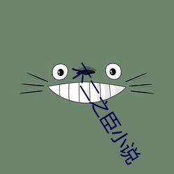不二之臣小说