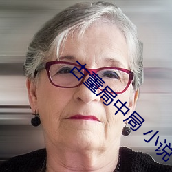 古董局中局 小说(說)