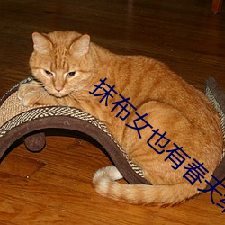 抹布女也有春天结局 （岩漠）