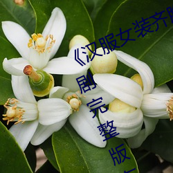 《漢服女裝齊胸襦裙噴水視頻》電視劇完整版在線觀看