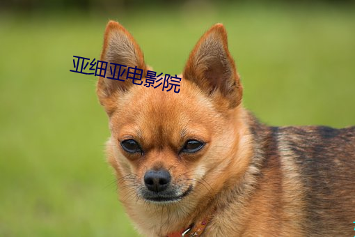 九游会登录j9入口 - 中国官方网站 | 真人游戏第一品牌