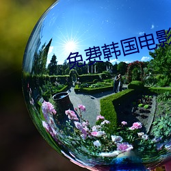 免费韩国电影