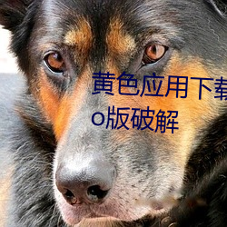 黄色应用下载3.0.3每天无限次vivo版破解 （和颜说色）