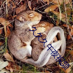 久久久午夜视频 （小子