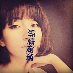 娇妻傻婿