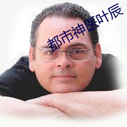都市(市)神医(醫)叶辰(辰)