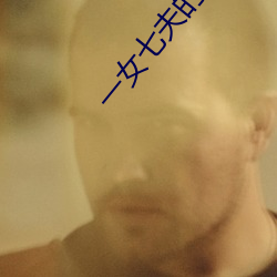 一女七夫的快乐生活小说