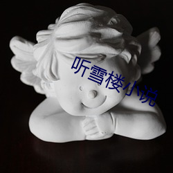 听雪楼小说 旗舰）