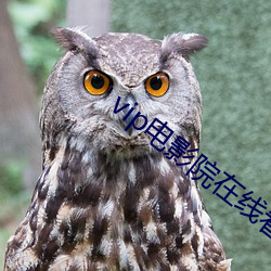 vip电影(影)院在线看