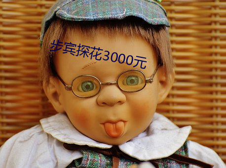 步(bù)宾探花3000元
