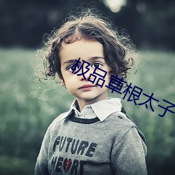 极(jí)品草根太(tài)子(zi)